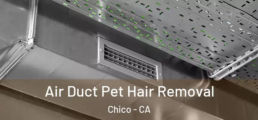 Air Duct Pet Hair Removal Chico - CA