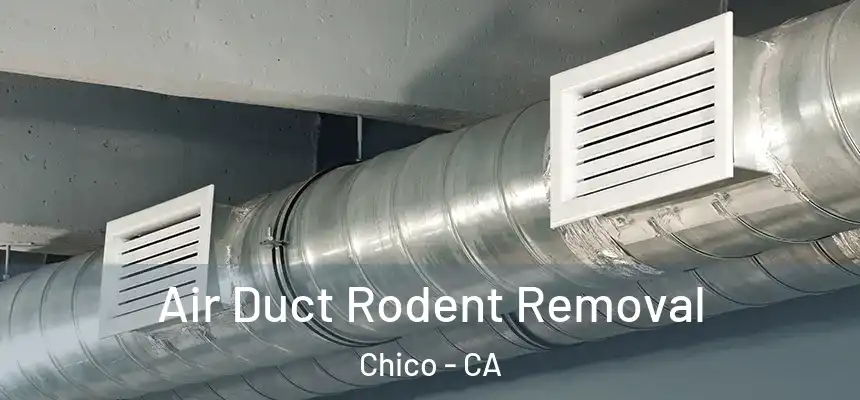 Air Duct Rodent Removal Chico - CA