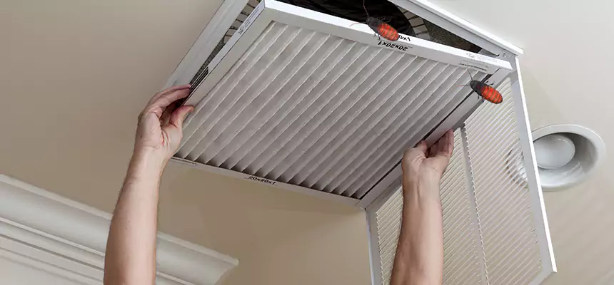 Preventive Cockroach-Proofing for Ducts in Chico