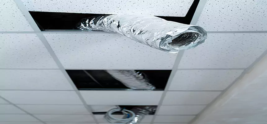 Our Air Duct Pet Hair Removal Services in Chico, CA