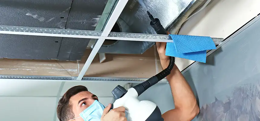 Our Air Duct Rodent Removal Services in Chico, CA