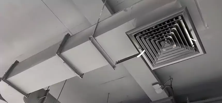 Restorative Allergy Relief Vent Cleaning – Coil, Blower & Housing Detail in Chico