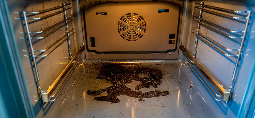 Our Dryer Vent Mold Cleaning Services in Chico, CA