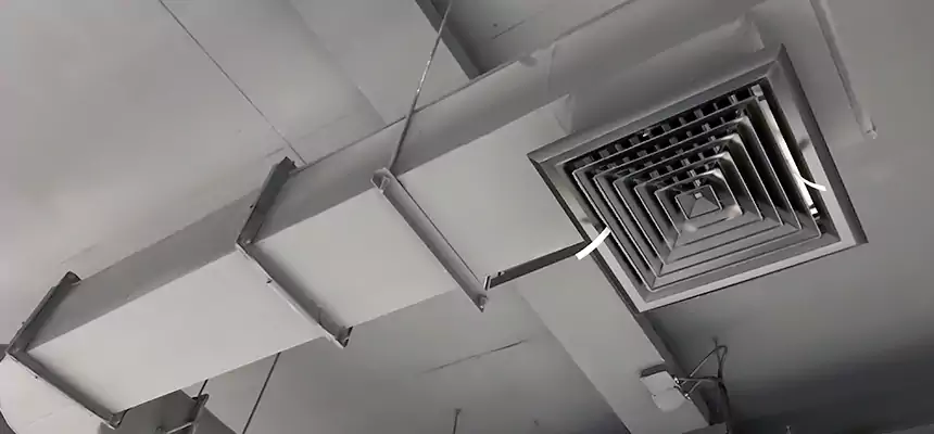 Our Pest Removal From Ducts Services in Chico, CA