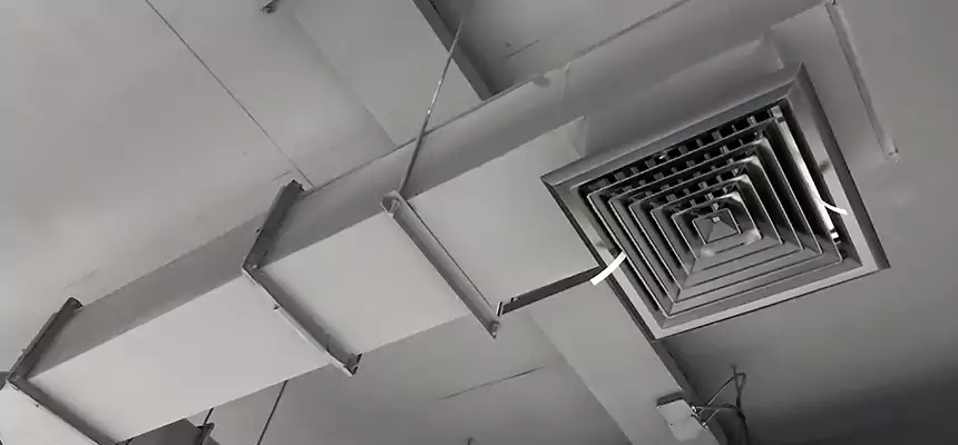 Our Rodent Droppings In Vents Services in Chico, CA