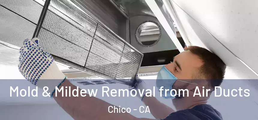 Mold & Mildew Removal from Air Ducts Chico - CA