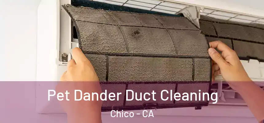 Pet Dander Duct Cleaning Chico - CA