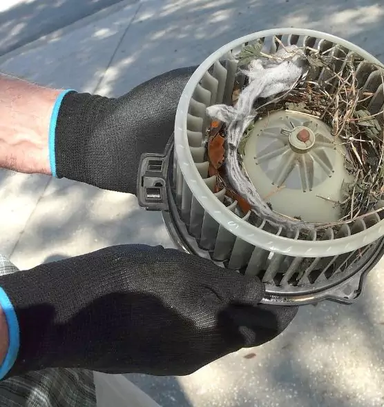 About Air Duct Rat Removal in Chico, CA