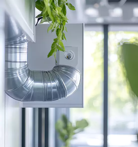 Professional Eco-Friendly Duct Cleaning Services in Chico, CA