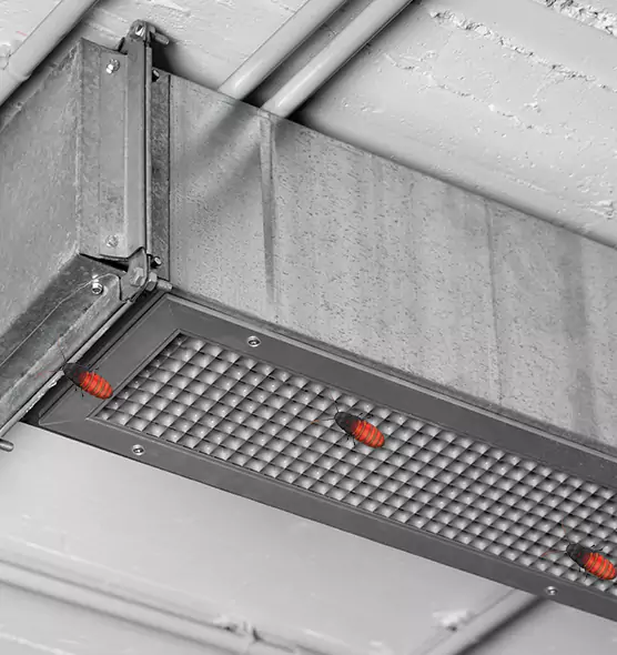 Affordable Insect Removal from Air Ducts in Chico, CA